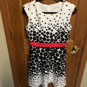 STUDIO ONE Polka Dot Flair Dress